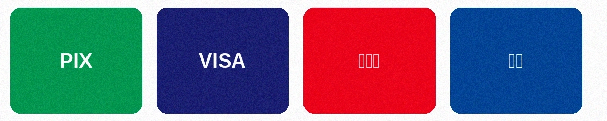 支持的支付方式包括PIX即时支付、VISA信用卡、万事达信用卡和银联借记卡